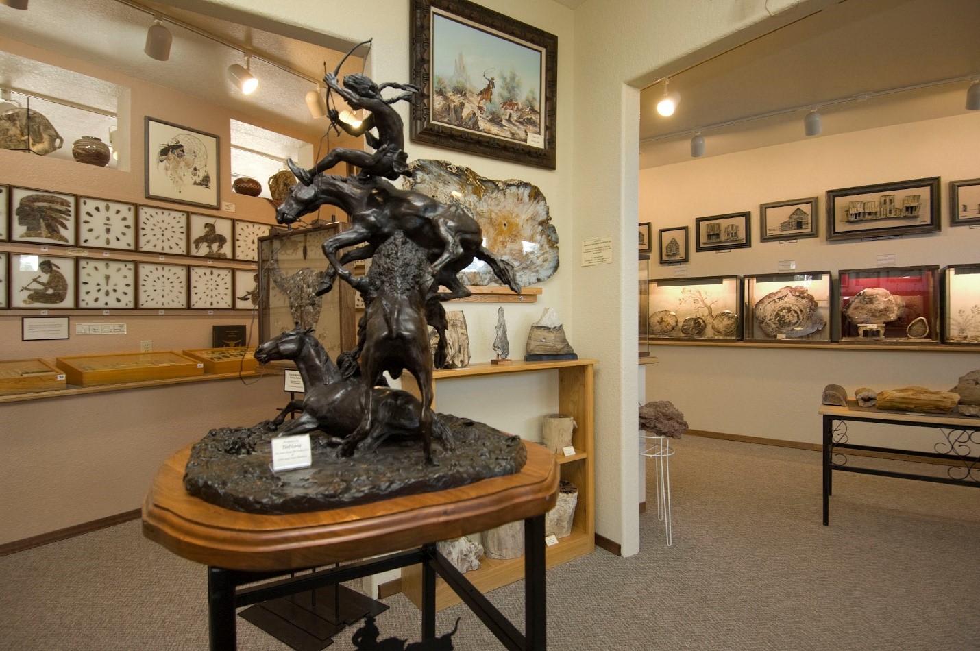 Petrified Wood and Art Gallery