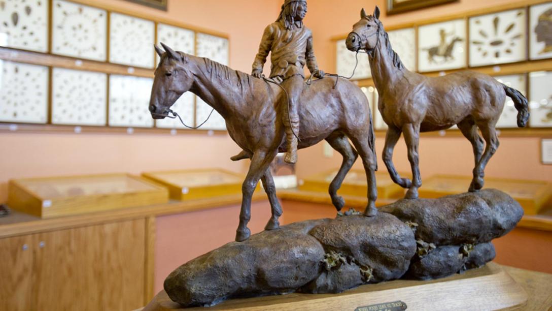 Petrified Wood and Art Gallery