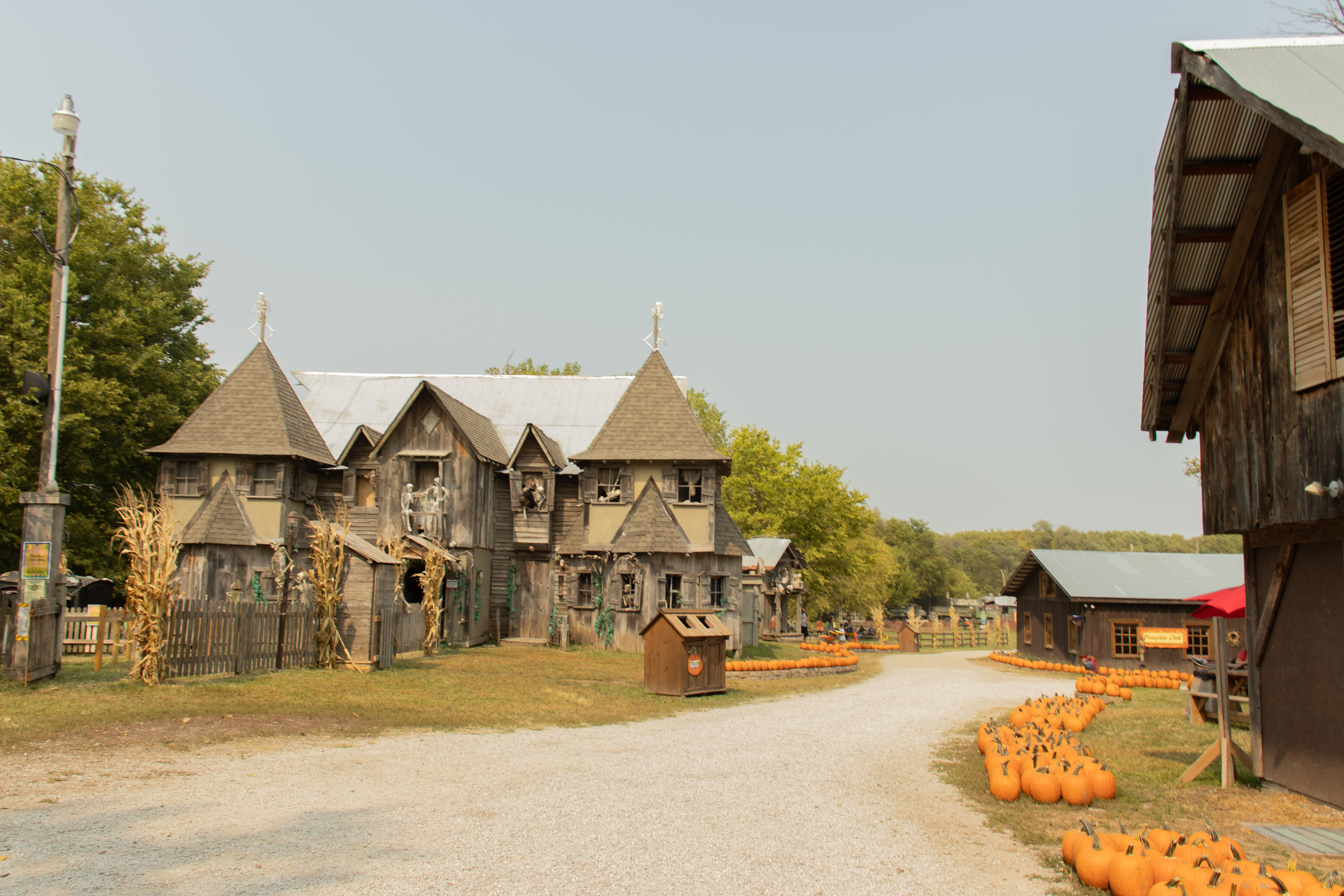 Haunted house and pumpkin patch at Roca Berry Farm.