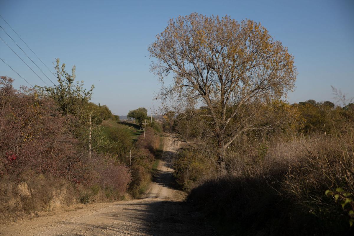 Nebraska City's Seven Sisters Road.