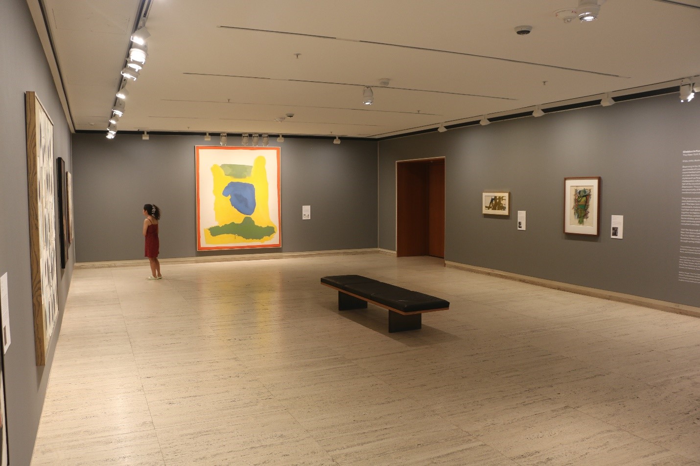 Sheldon Museum of Art