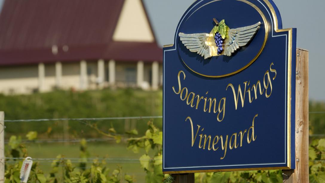 A sign for Soaring Wings Vineyard with the vineyard in the background