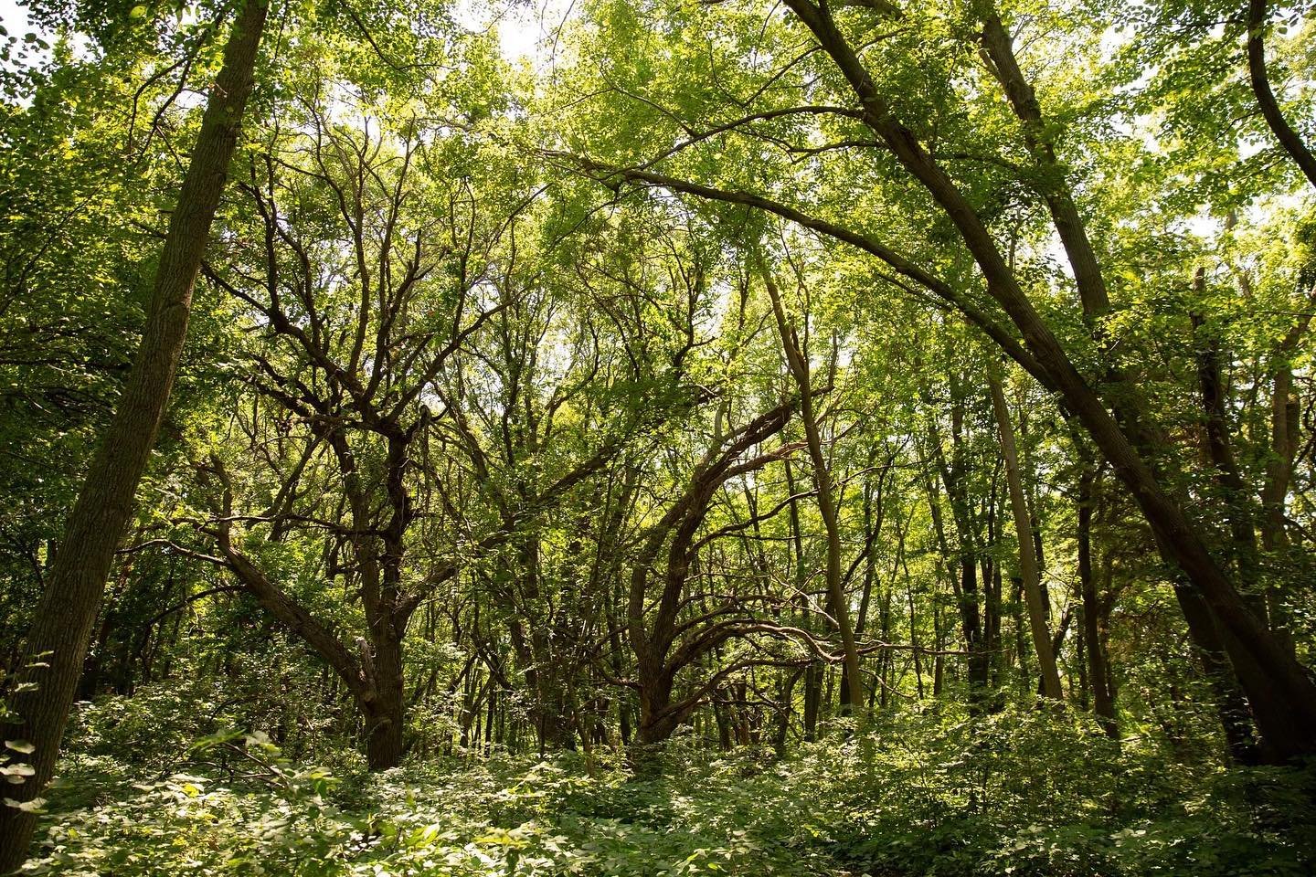 Platte River State Park