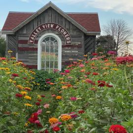 valleyviewflowers