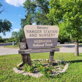 Nebraska National Forest in Halsey Passport Stop Photo