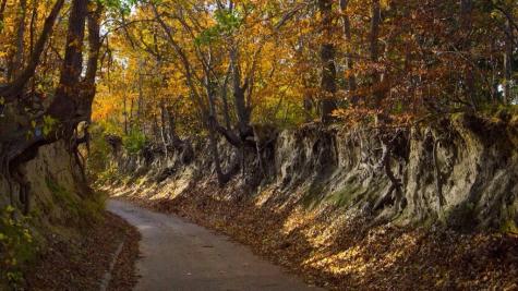 Fall in Nebraska