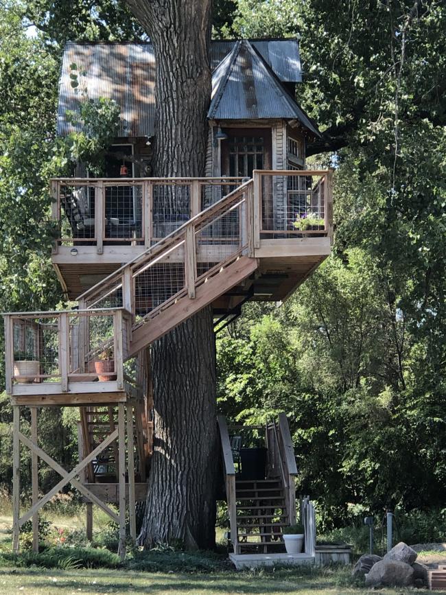 Tree house