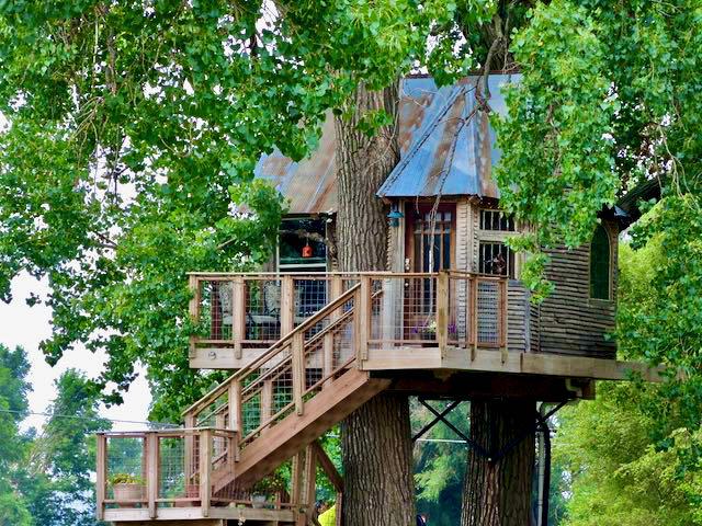 Treehouse Bed and Breakfast