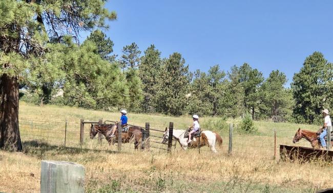 Chadron State Park