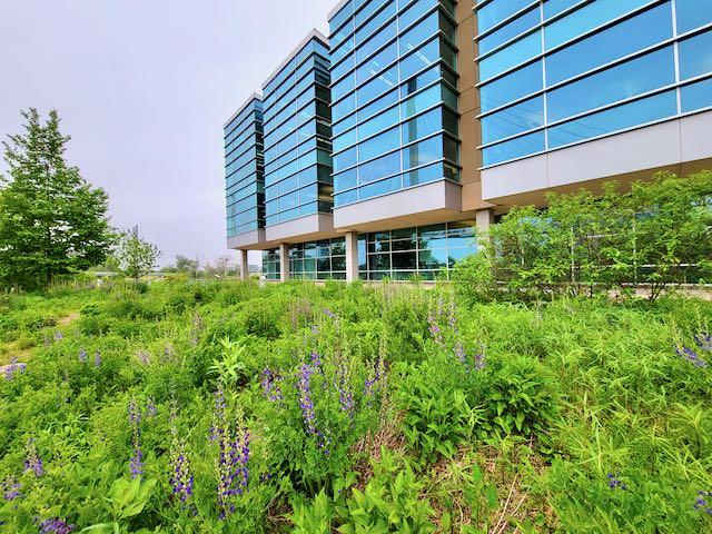 OUTSIDE VIEW - LEWIS AND CLARK NATIONAL HISTORICAL TRAIL HEADQUARTERS AND VISITORS CENTER - OMAHA NE.jpeg